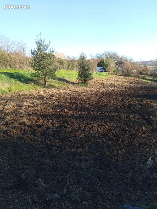 Terrain