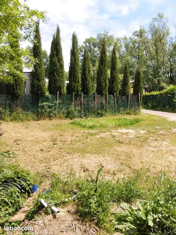 Terrain