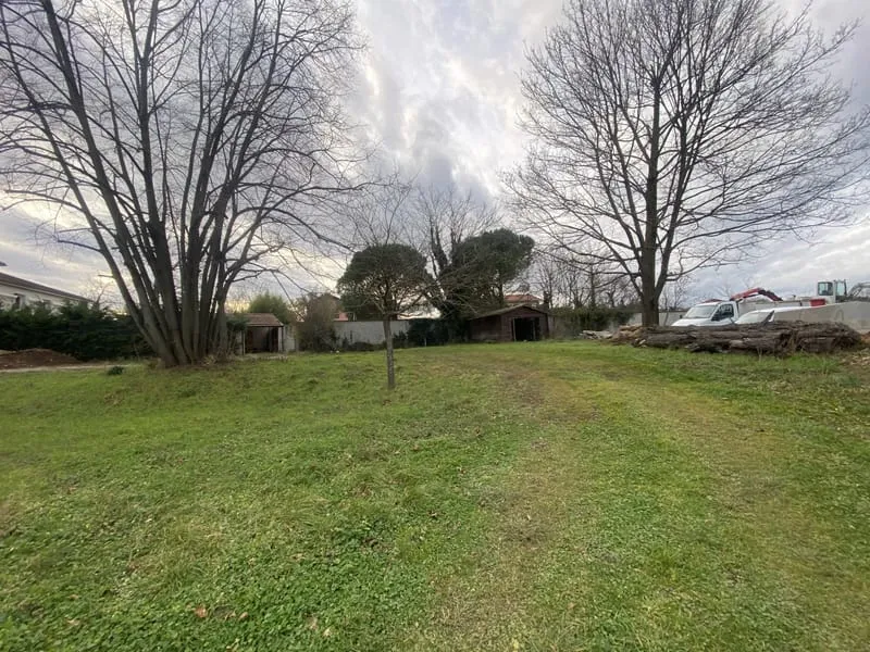 Terrain