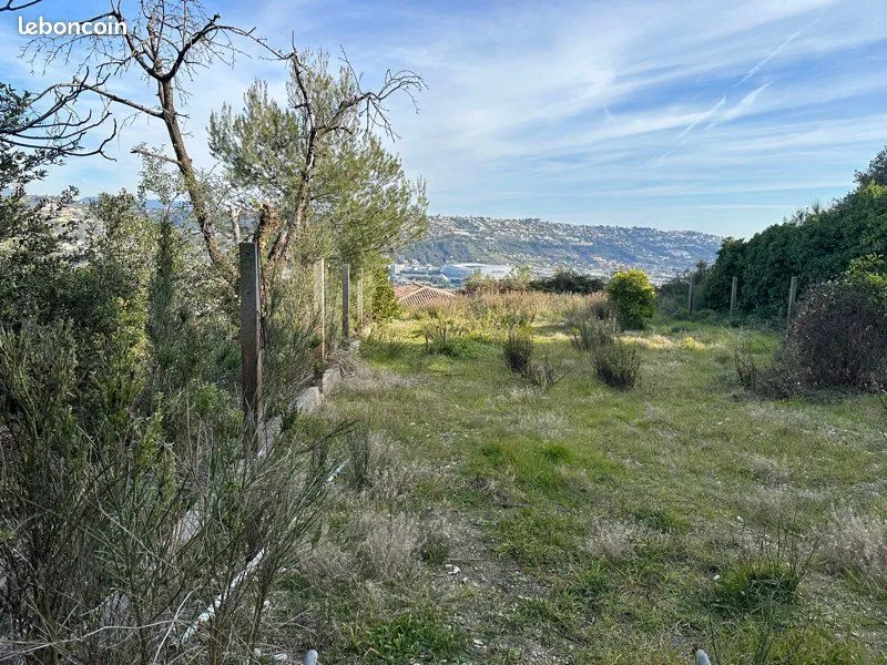 Terrain