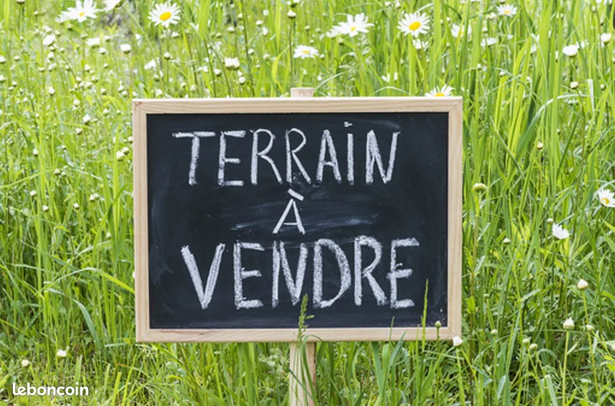 Terrain