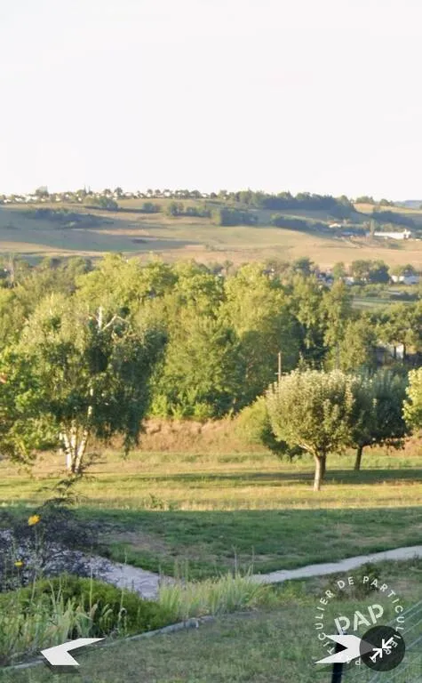 Terrain