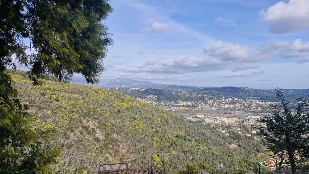 Terrain