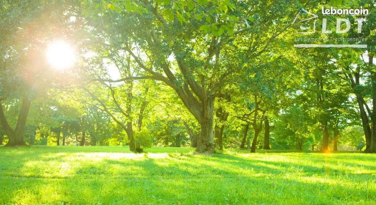 Terrain