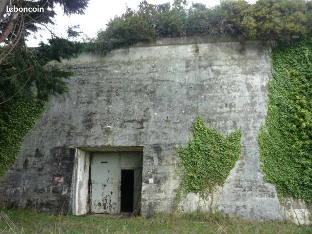 Local d'activité