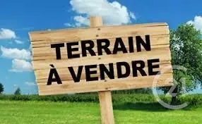 Terrain