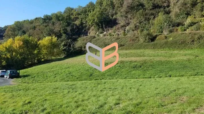 Terrain
