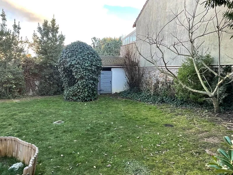 Terrain