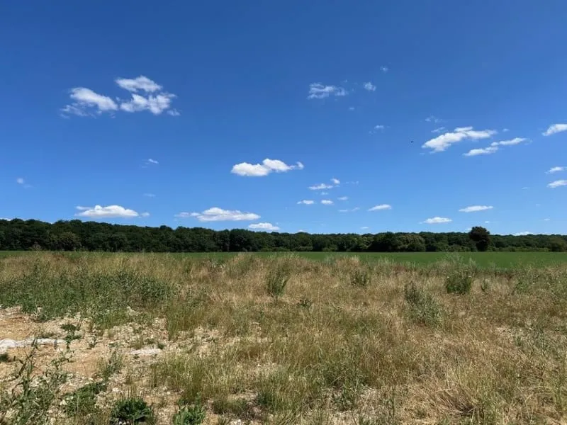 Terrain