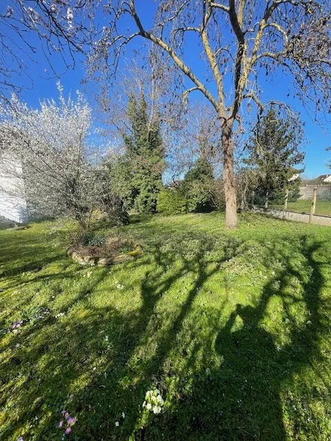Terrain
