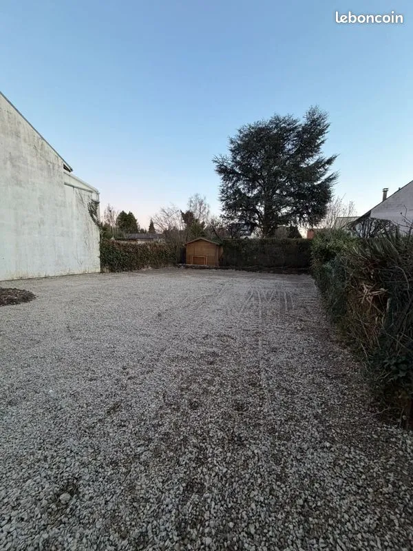 Terrain
