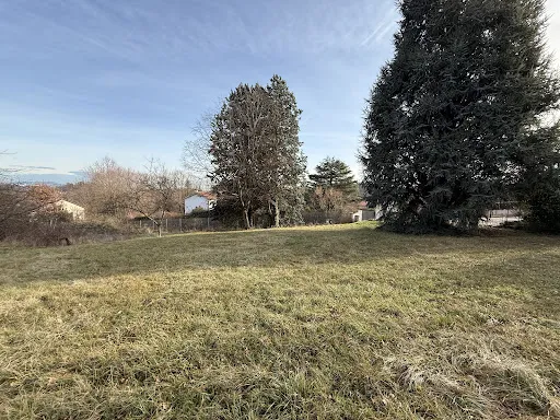 Terrain