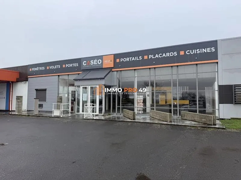 Local d'activité