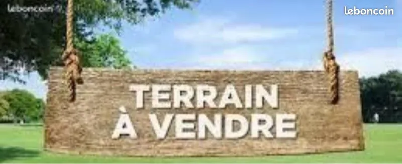 Terrain