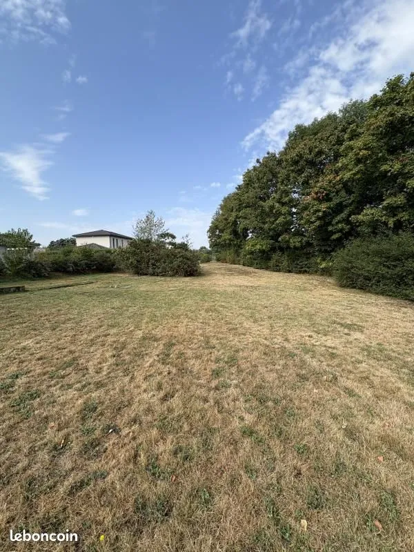 Terrain