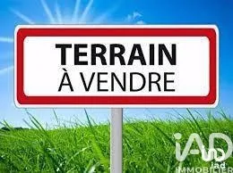 Terrain