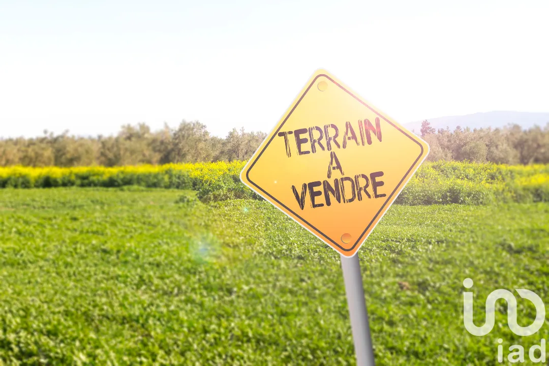 Terrain