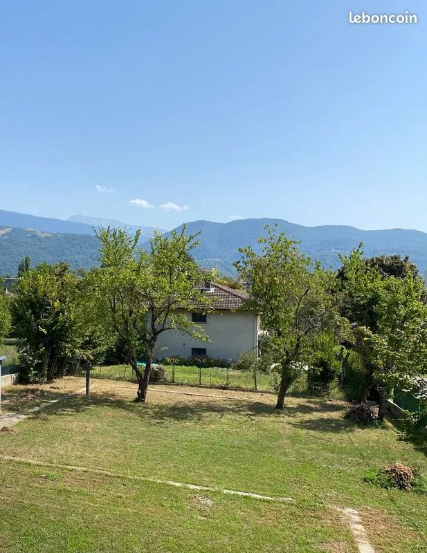 Terrain