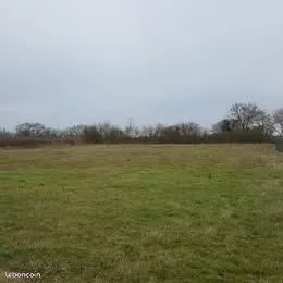 Terrain