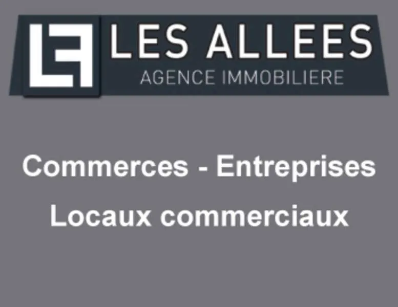 Local d'activité