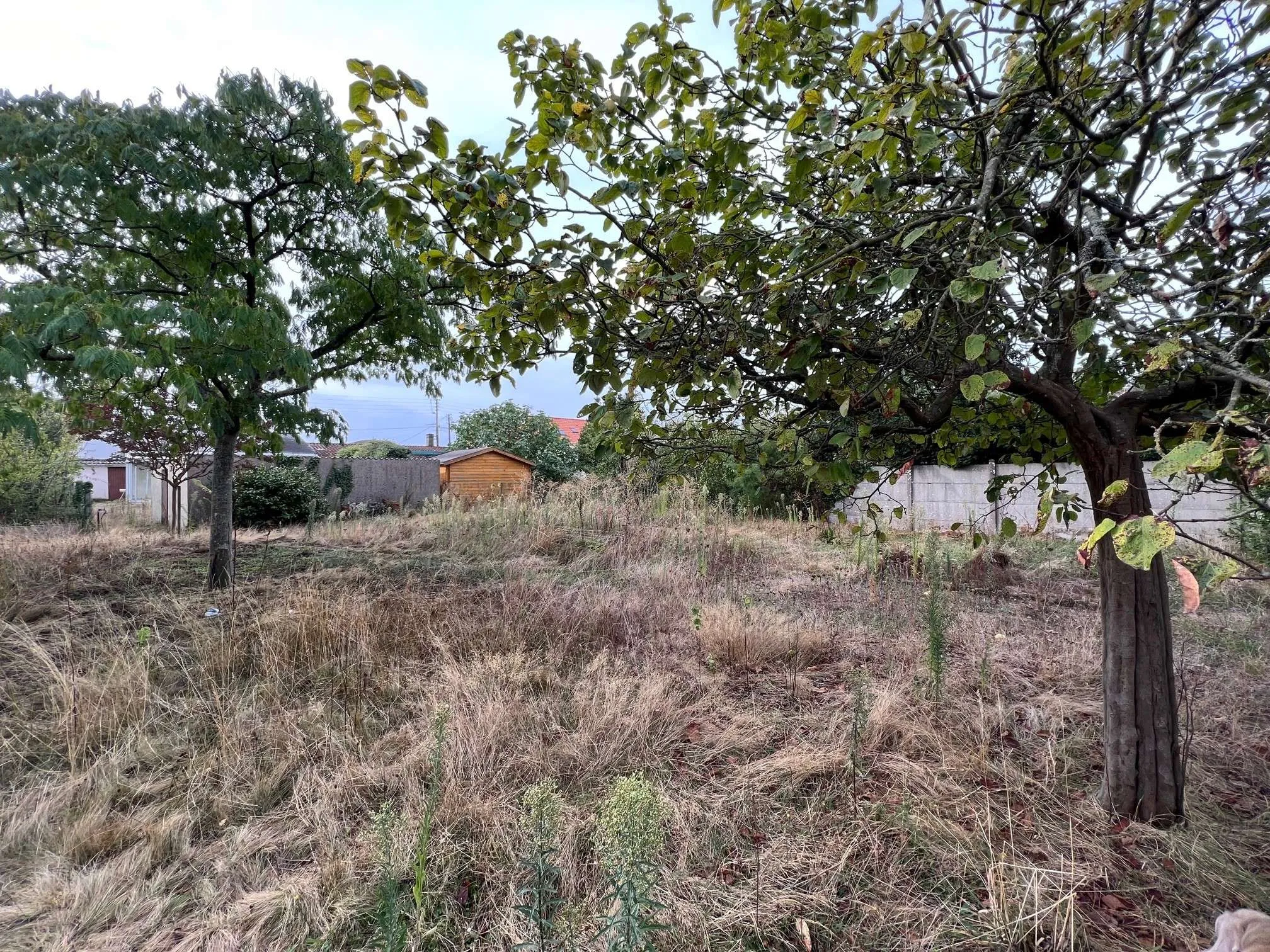 Terrain