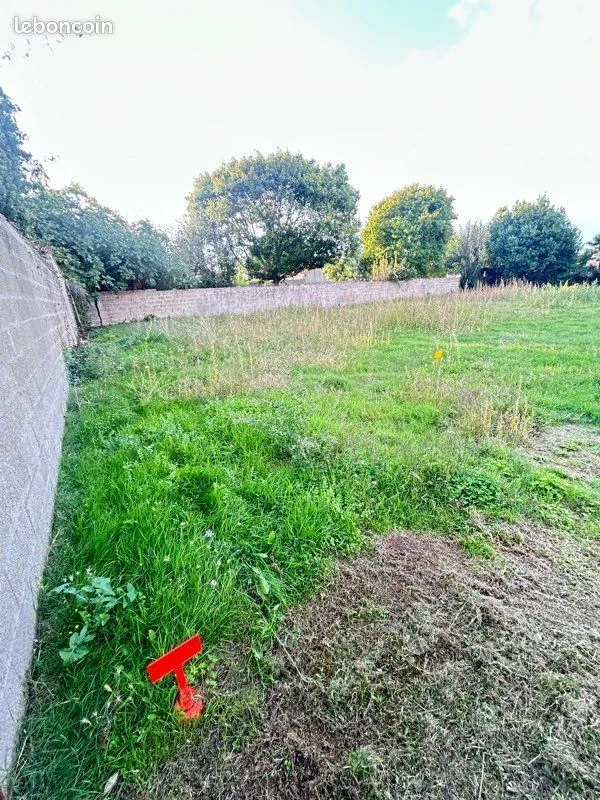 Terrain