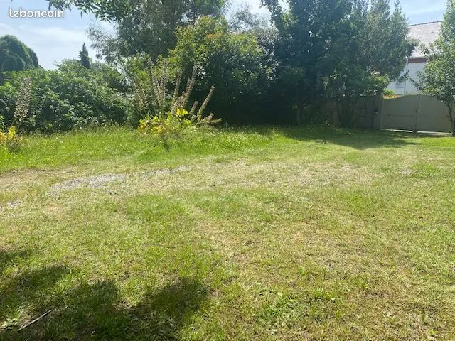 Terrain