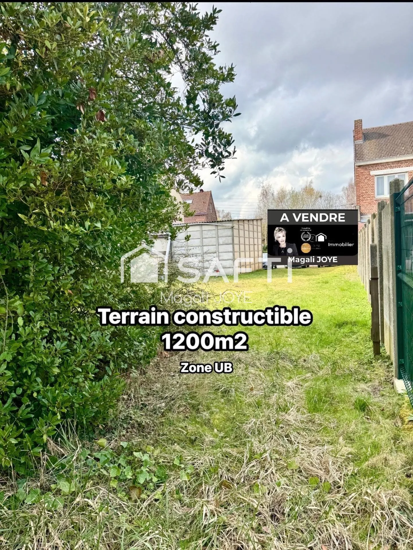 Terrain