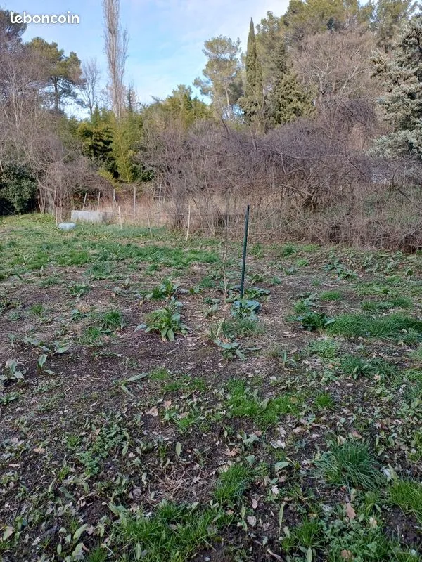 Terrain