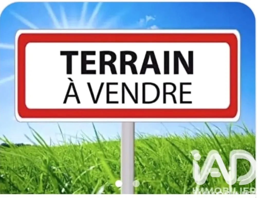 Terrain