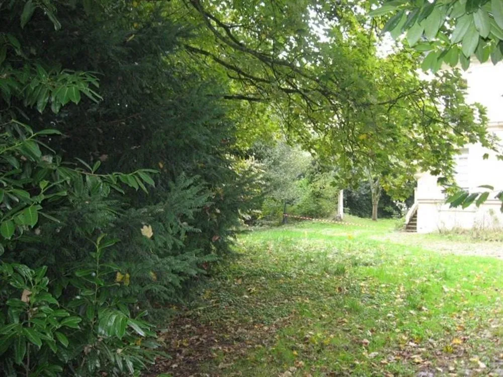 Terrain