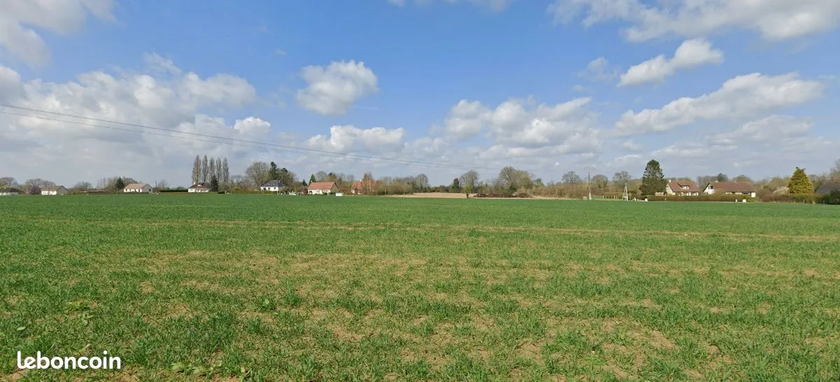 Terrain