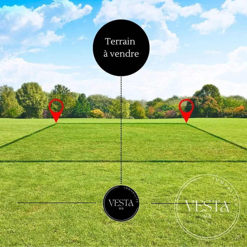 Terrain