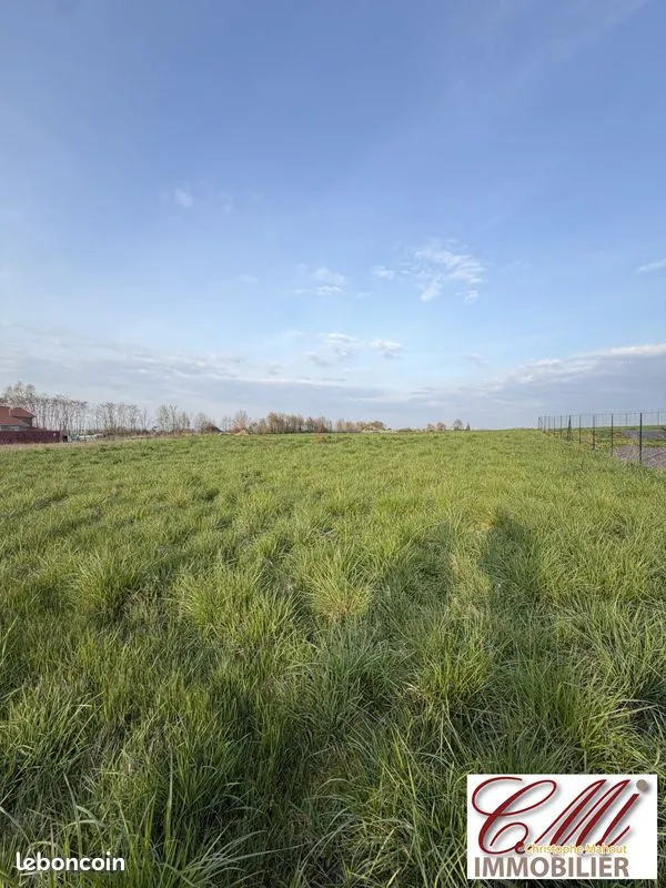 Terrain