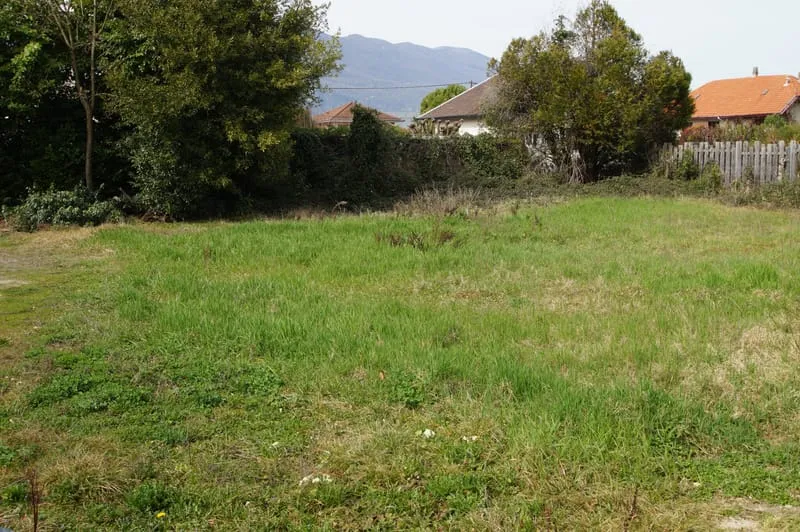 Terrain
