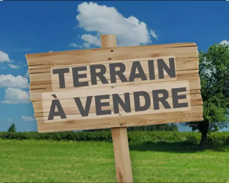 Terrain