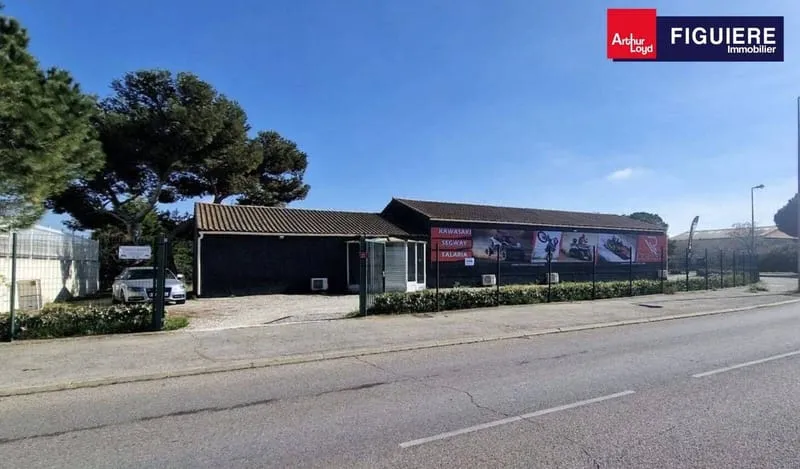 Local d'activité