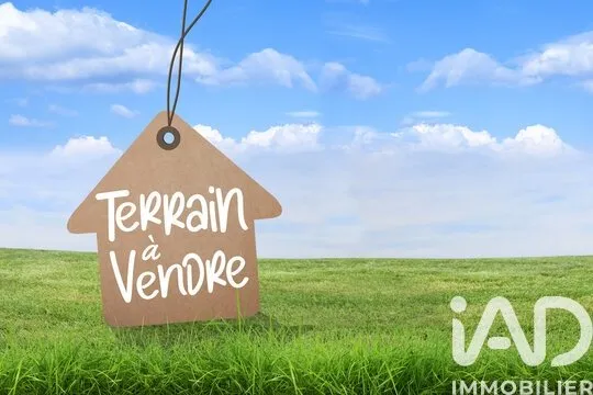 Terrain
