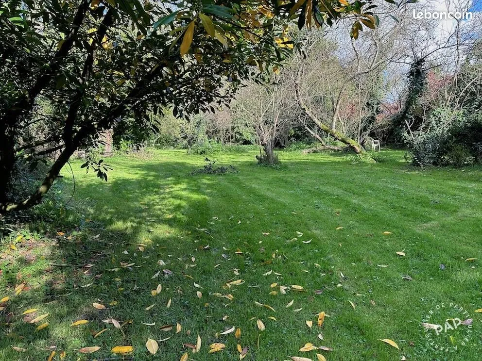 Terrain