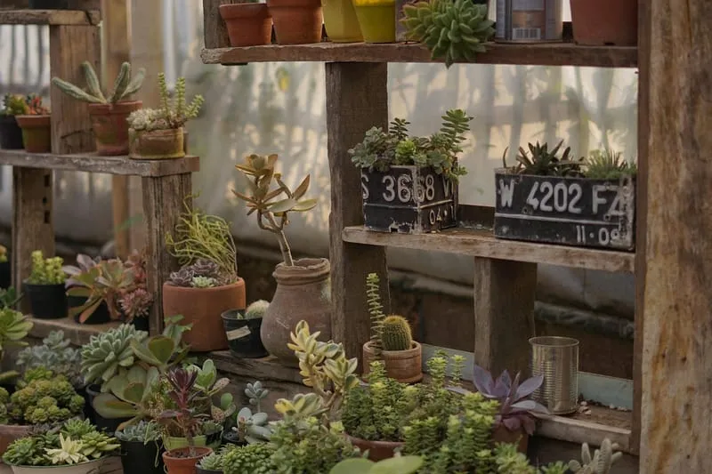 Local commercial