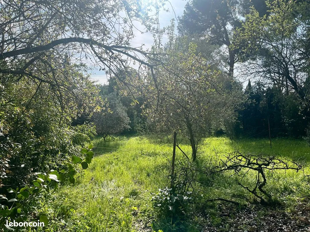 Terrain