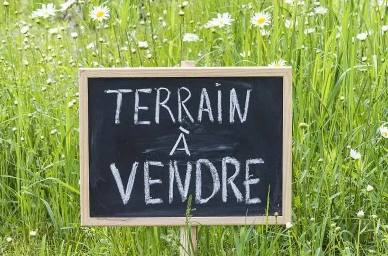Terrain