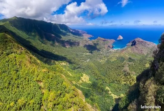 Terrain