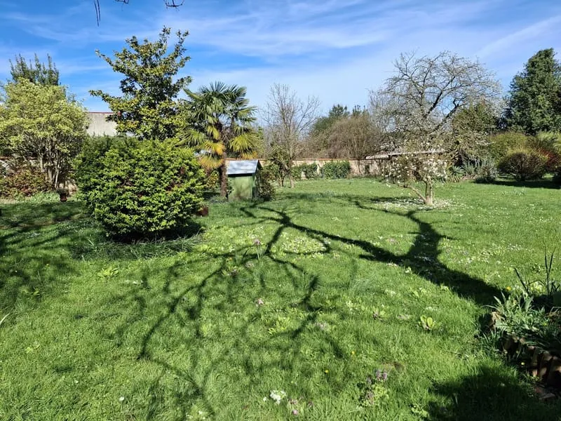 Terrain