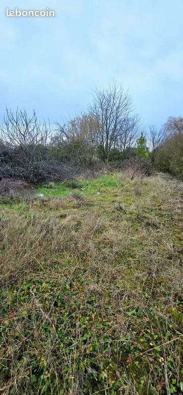 Terrain