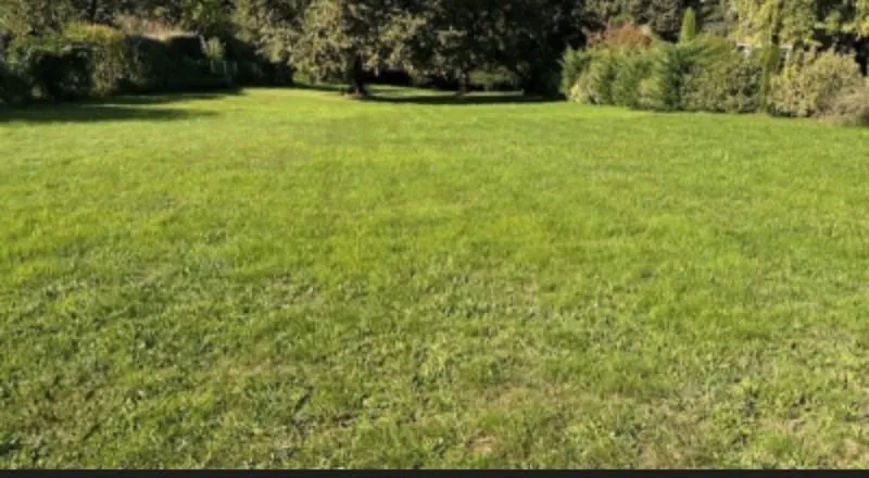 Terrain