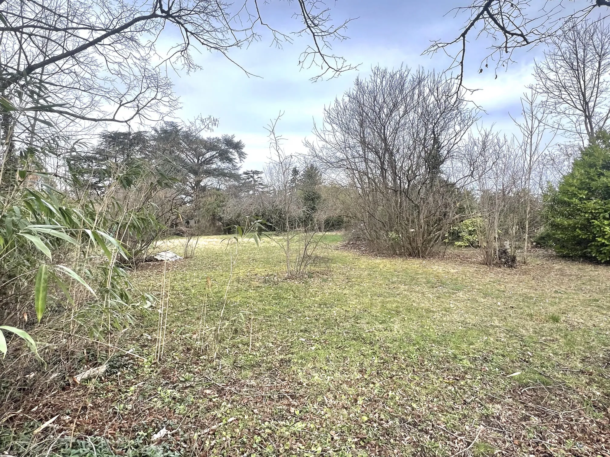 Terrain