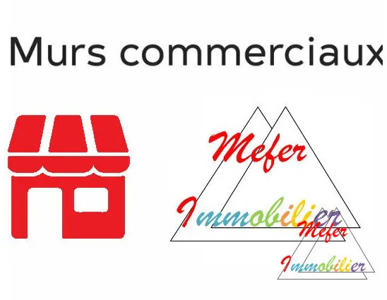 Local d'activité