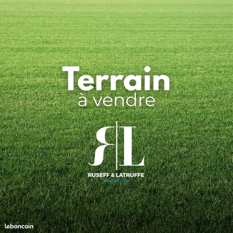 Terrain