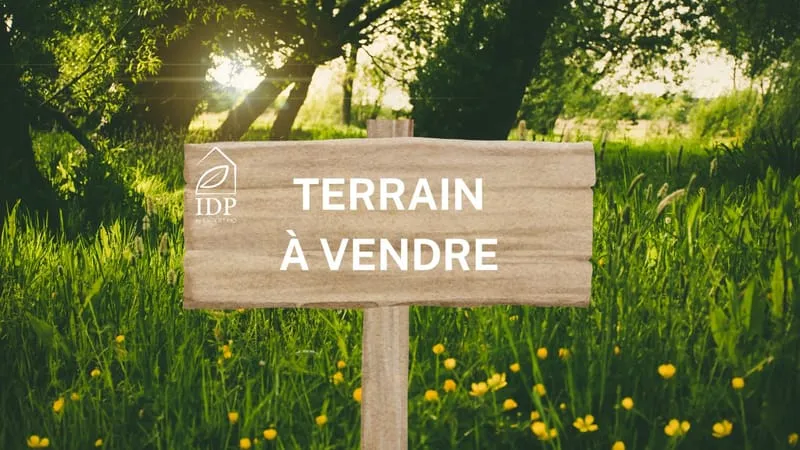 Terrain